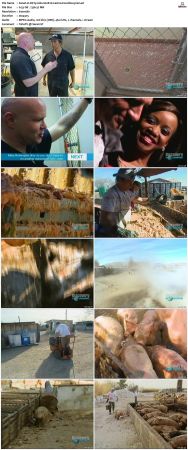 Dirty Jobs S02 TVRip XVID-MiXED