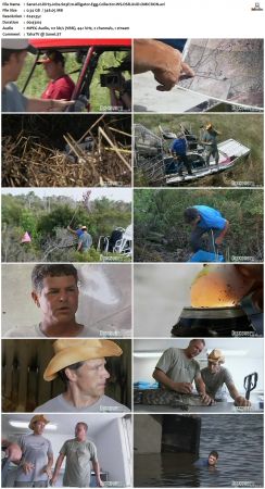 Dirty Jobs S03 TVRip XVID-MiXED