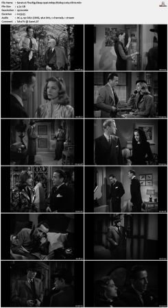 The Big Sleep 1946 1080p BluRay x264-nikt0