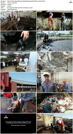 Dirty Jobs S05 720p HDTV DD5.1 x264-RZF