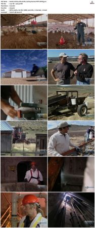 Dirty Jobs S02 TVRip XVID-MiXED