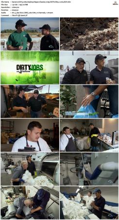 Dirty Jobs S05 720p HDTV DD5.1 x264-RZF