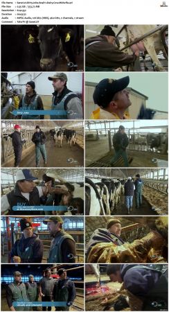 Dirty Jobs S04 TVRip XVID-MiXED