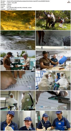 Dirty Jobs S07 720p HDTV x264-MOMENTUM