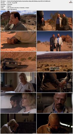 Breaking Bad S05 1080p 10bit BluRay x265 HEVC 6CH-MRN