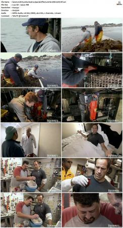 Dirty Jobs S03 TVRip XVID-MiXED
