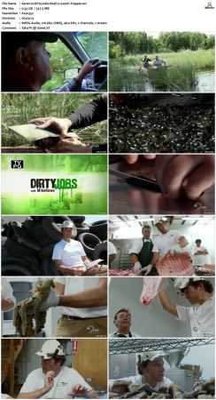 Dirty Jobs S04 TVRip XVID-MiXED