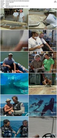 Dirty Jobs S02 TVRip XVID-MiXED