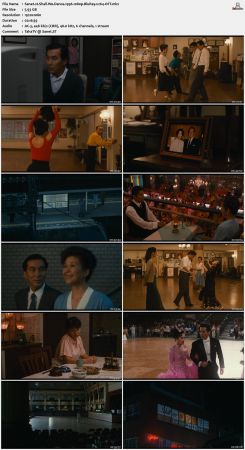 Shall We Dance 1996 1080p BluRay x264-OFT