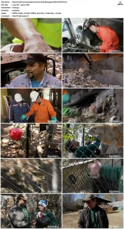 Dirty Jobs S03 TVRip XVID-MiXED
