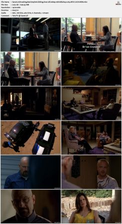 Breaking Bad S05 1080p 10bit BluRay x265 HEVC 6CH-MRN