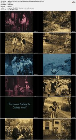 Fanchon the Cricket 1915 Restored 1080p BluRay x264-OFT