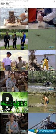Dirty Jobs S02 TVRip XVID-MiXED
