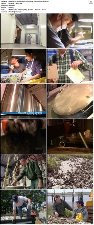 Dirty Jobs S01 TVRip XVID-MiXED
