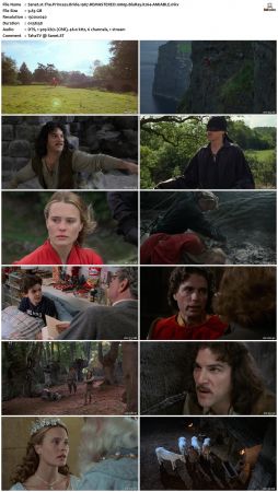 The Princess Bride 1987 REMASTERED 1080p BluRay X264-AMIABLE