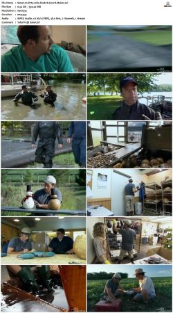 Dirty Jobs S04 TVRip XVID-MiXED