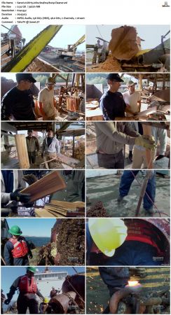 Dirty Jobs S04 TVRip XVID-MiXED