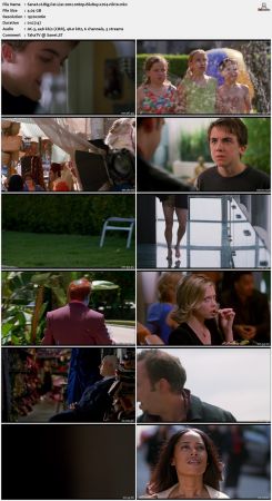 Big Fat Liar 2002 1080p BluRay x264-nikt0