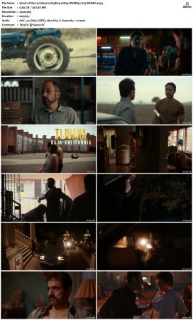 Narcos Mexico S03 1080p WEBRip x265-RARBG