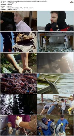 Dirty Jobs S05 720p HDTV DD5.1 x264-RZF