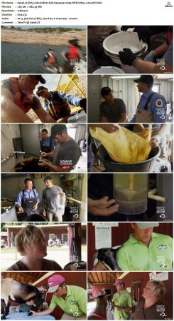 Dirty Jobs S08 720p HDTV DD5.1 x264-RZF