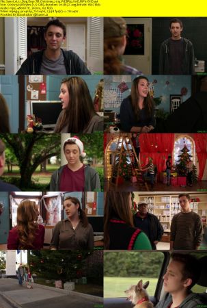 12 Dog Days Till Christmas 2014 WEBRip XviD MP3-XVID