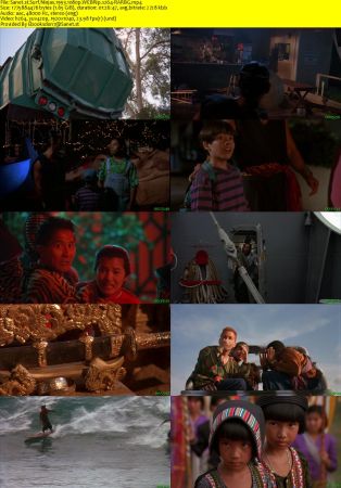 Surf Ninjas 1993 1080p WEBRip x264-RARBG