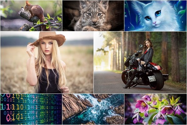 Desktop Beautiful Wallpapers Pack 1523