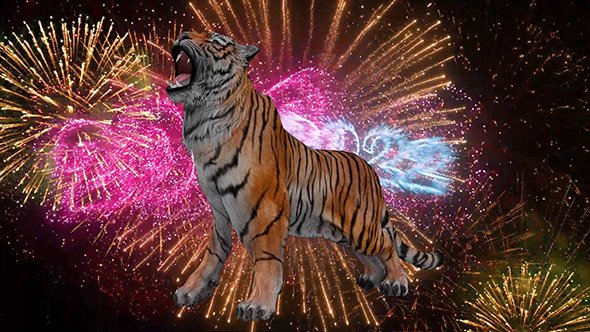 After Effects New Year Project + Footage Year of the Tiger 2022