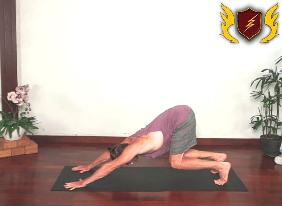 Yoga Collective - Flexion Extension Class