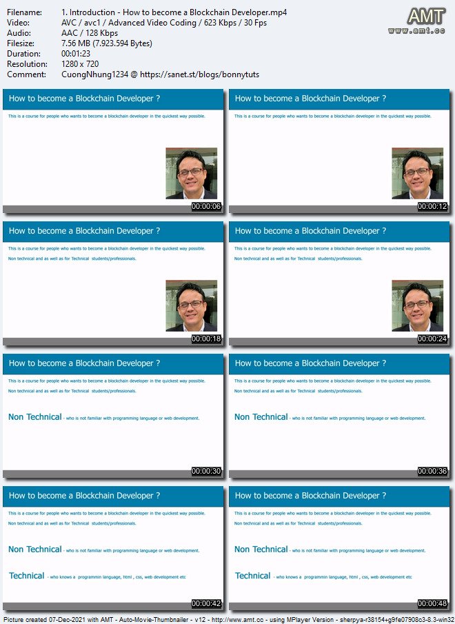 Download How To Become A Blockchain Developer In Weeks 2021 