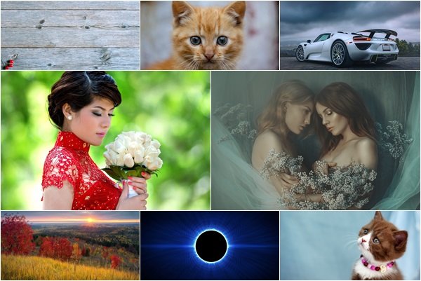 Mixed Beautiful Wallpapers Pack 1539