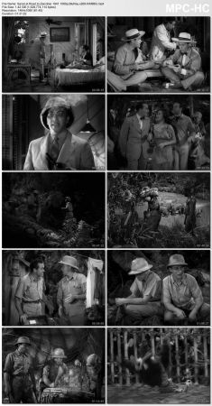 Road to Zanzibar 1941 1080p BluRay x265-RARBG