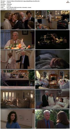 Father of the Bride Part II 1995 1080p BluRay x264-nikt0