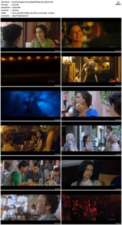 Queen 2013 1080p BluRay x264-nikt0