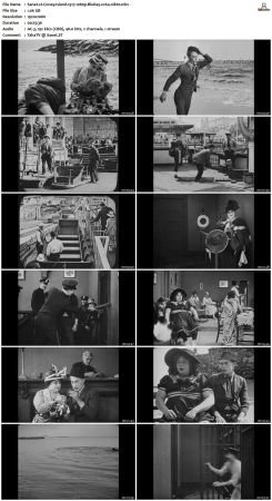 Coney Island 1917 1080p BluRay x264-nikt0