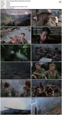 Hamburger Hill 1987 1080p BluRay x264-nikt0