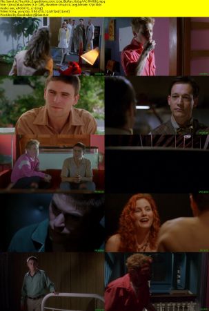 The Attic Expeditions 2001 720p BluRay H264 AAC-RARBG