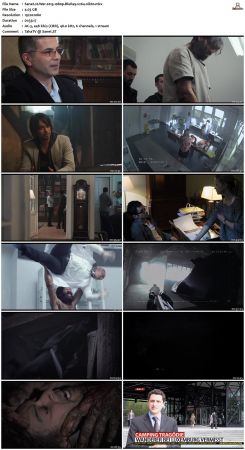 Wer 2013 1080p BluRay x264-nikt0