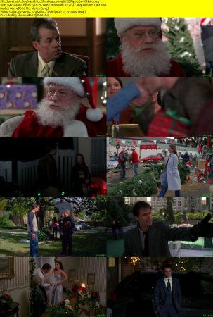 A Boyfriend for Christmas 2004 WEBRip x264-ION10
