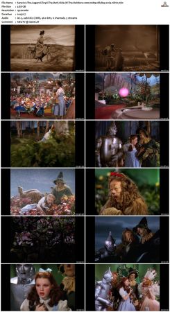The Legend Floyd The Dark Side Of The Rainbow 2000 1080p BluRay x264-nikt0