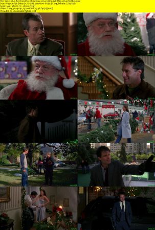 A Boyfriend for Christmas 2004 1080p WEBRip x264-RARBG