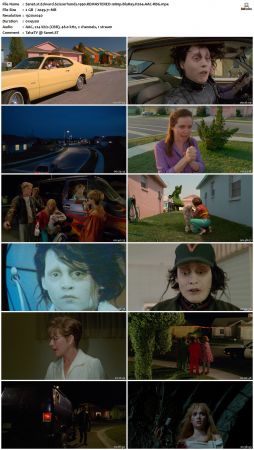 Christmas Movie PACK 1080p BluRay WEBRip x264-RARBG
