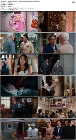 The Pink Panther 2 2009 1080p BluRay x264-nikt0