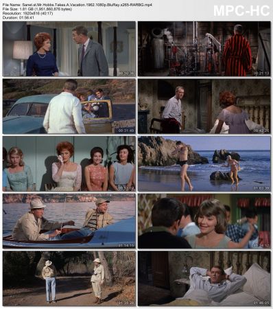 Mr. Hobbs Takes A Vacation 1962 1080p BluRay x265-RARBG