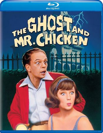 The Ghost And Mr. Chicken 1966 1080p BluRay x265-RARBG