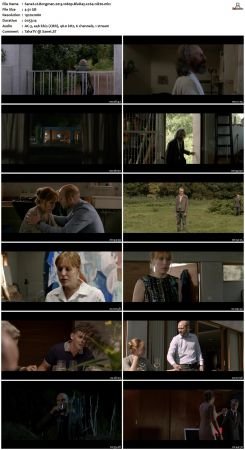 Borgman 2013 1080p BluRay x264-nikt0
