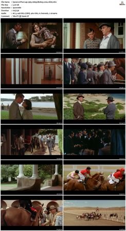 Phar Lap 1983 1080p BluRay x264-nikt0