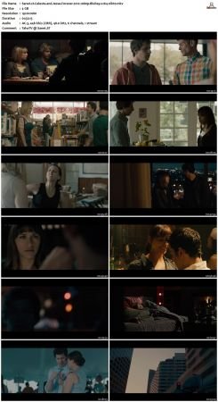 Celeste and Jesse Forever 2012 1080p BluRay x264-nikt0