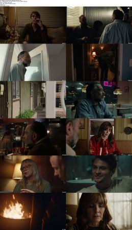 The Cleaner 2021 1080p BluRay x264-MiMiC